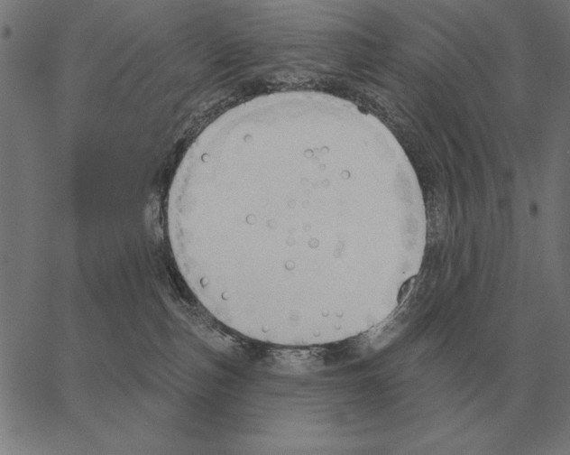 X0000062890187200602101750