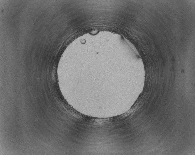 X0000062890188200602101750