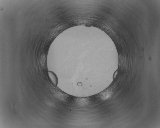 X0000062890189200602101750