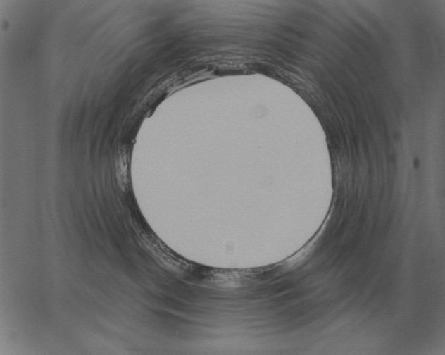 X0000062890190200602101750