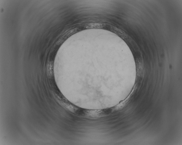 X0000062890191200602101750