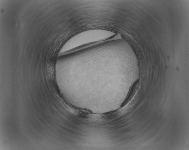 X0000062890192200602101750