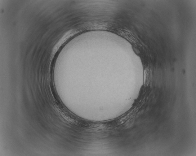 X0000062890195200602101750