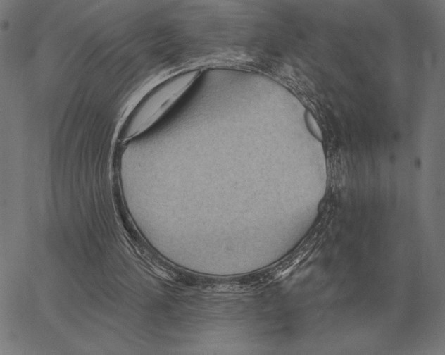 X0000062890196200602101750