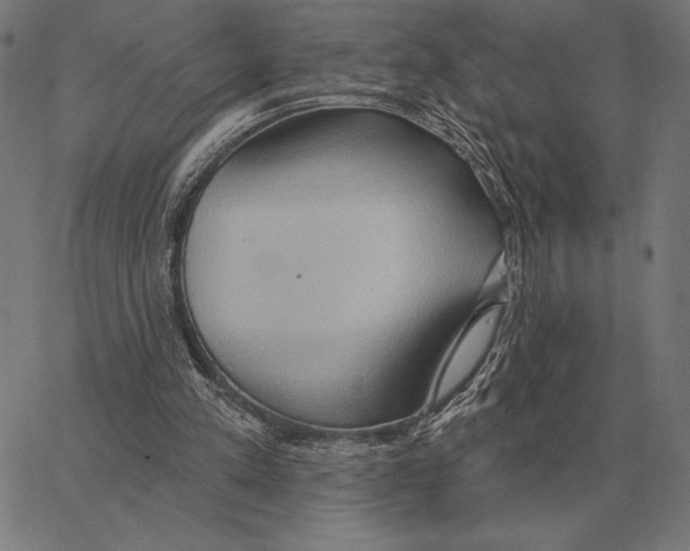 X0000062890197200602101750