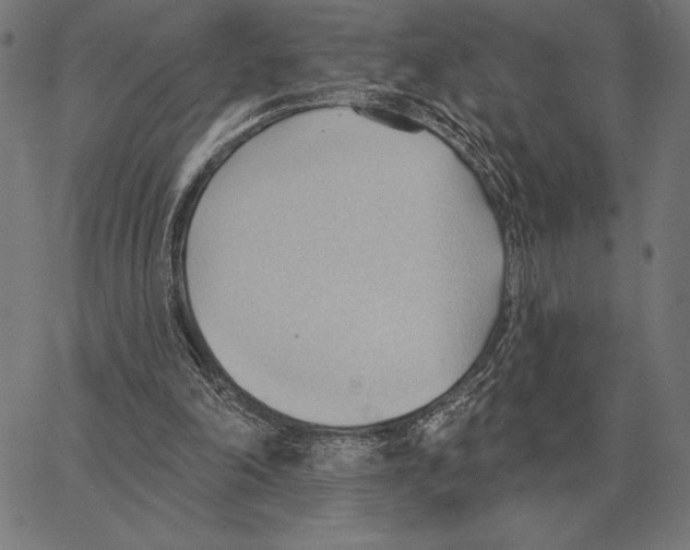 X0000062890198200602101750