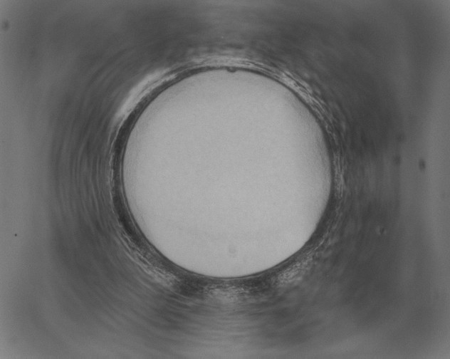 X0000062890199200602101750