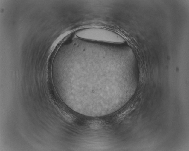 X0000062890200200602101749