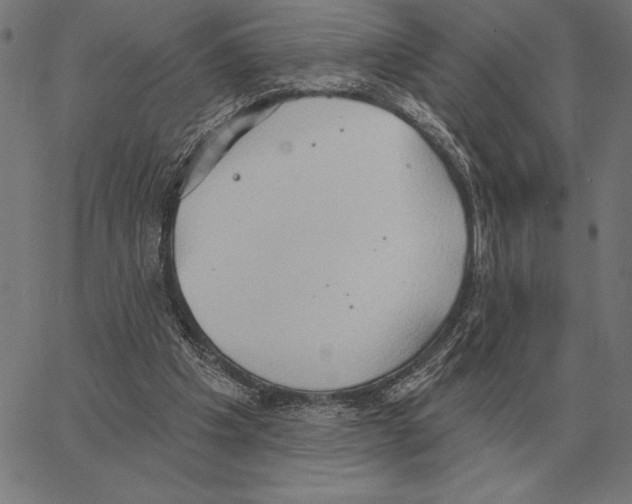 X0000062890201200602101749