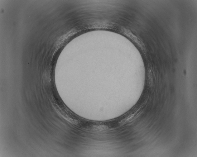 X0000062890203200602101749