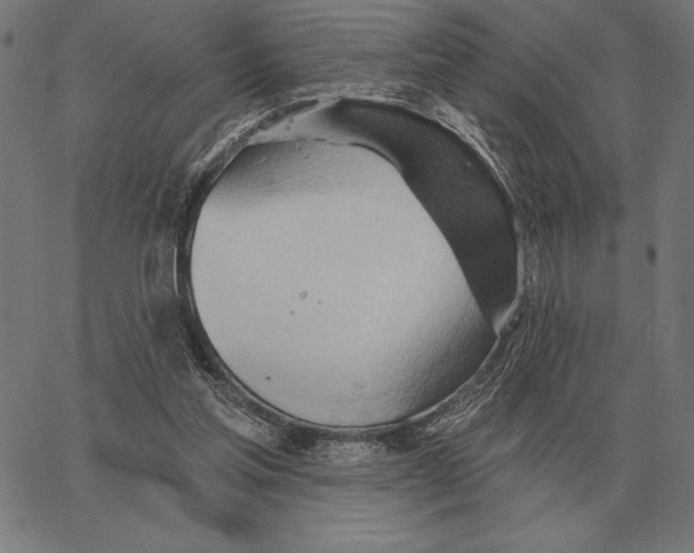 X0000062890205200602101749