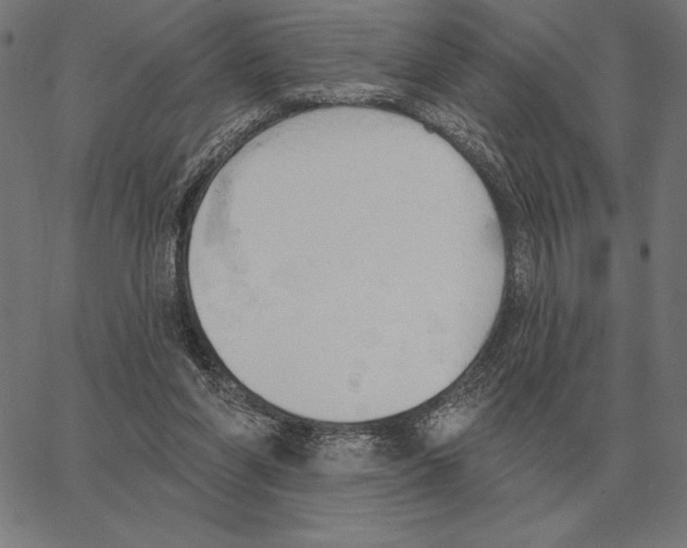 X0000062890206200602101749