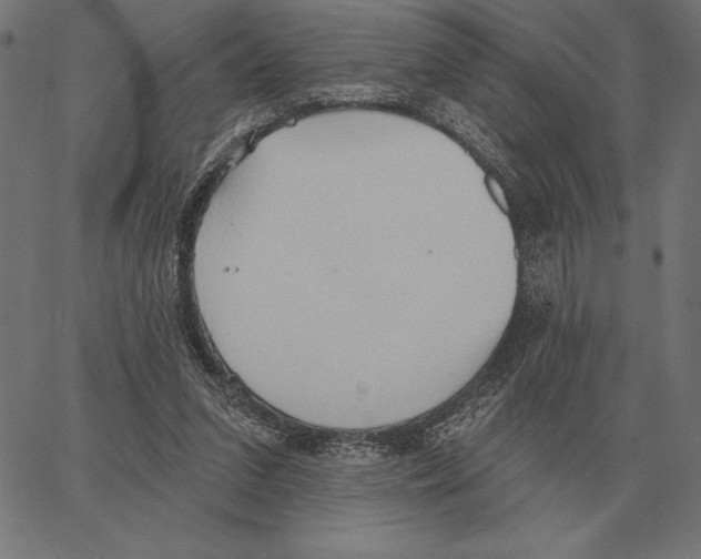 X0000062890207200602101749