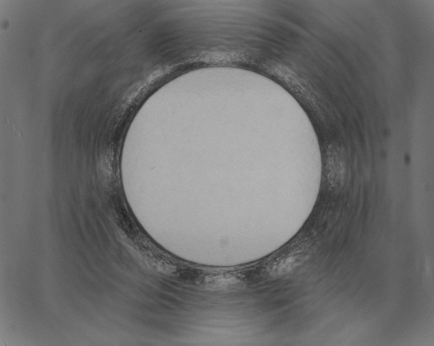 X0000062890208200602101749