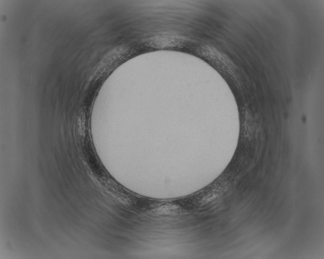 X0000062890210200602101749