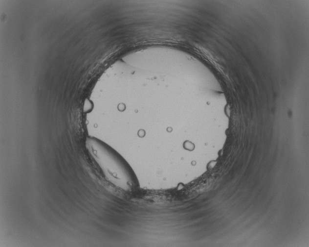 X0000062890211200602101749