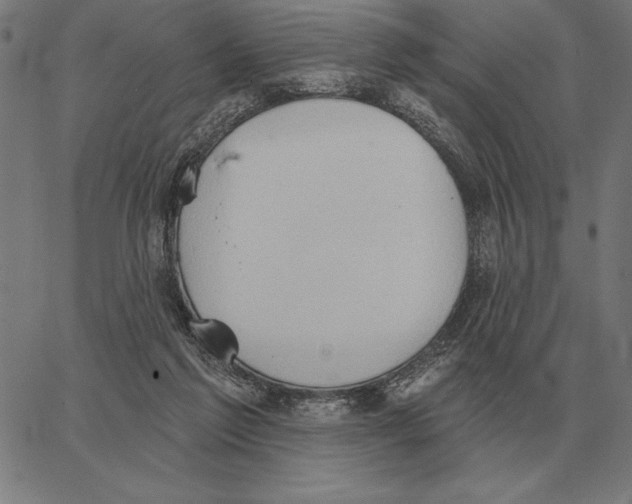 X0000062890213200602101749