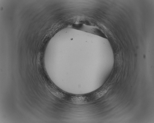 X0000062890217200602101749