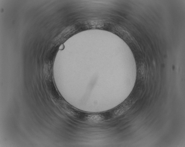 X0000062890218200602101749