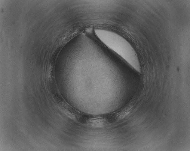 X0000062890219200602101749