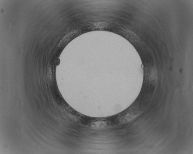 X0000062890220200602101749