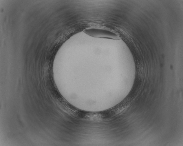 X0000062890221200602101749