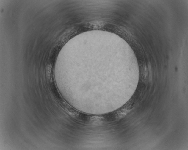 X0000062890222200602101749