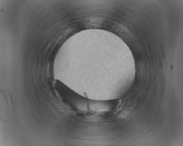 X0000062890224200602101749