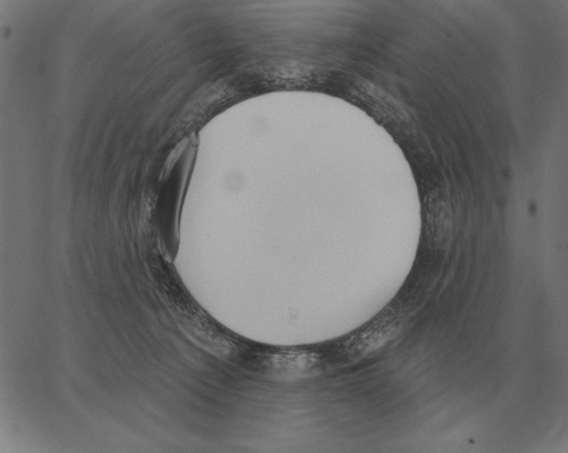 X0000062890225200602101749