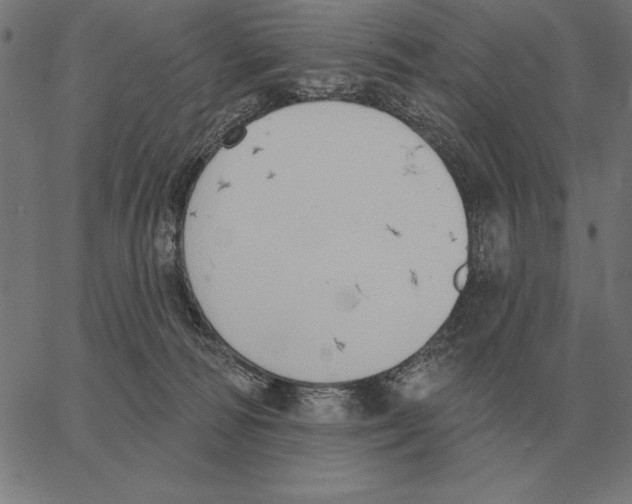 X0000062890226200602101749