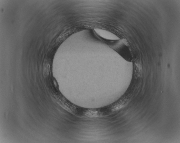 X0000062890227200602101749