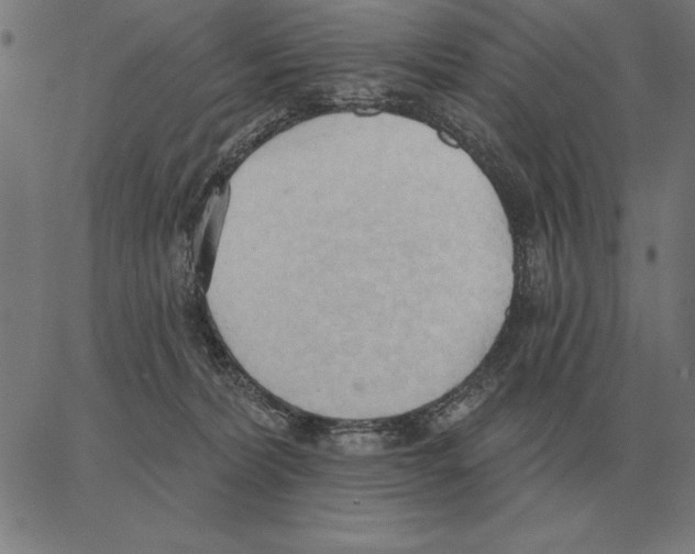 X0000062890228200602101749