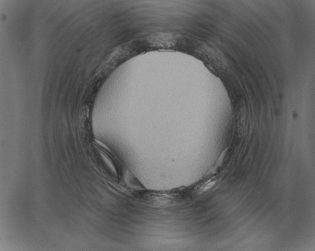 X0000062890229200602101749