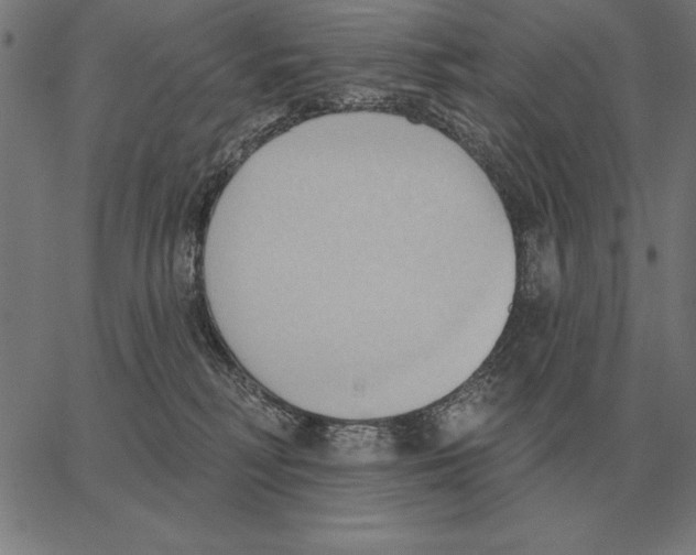 X0000062890230200602101749