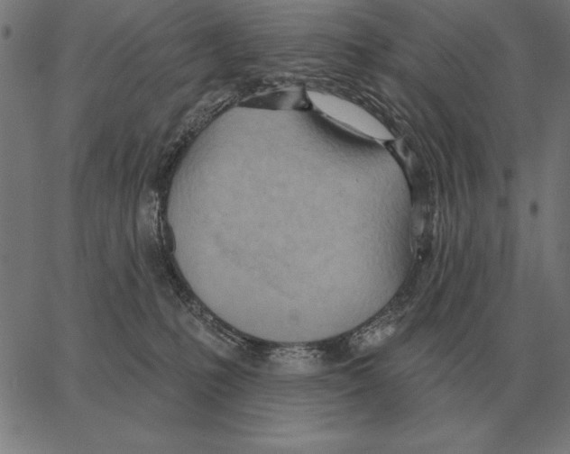 X0000062890231200602101749