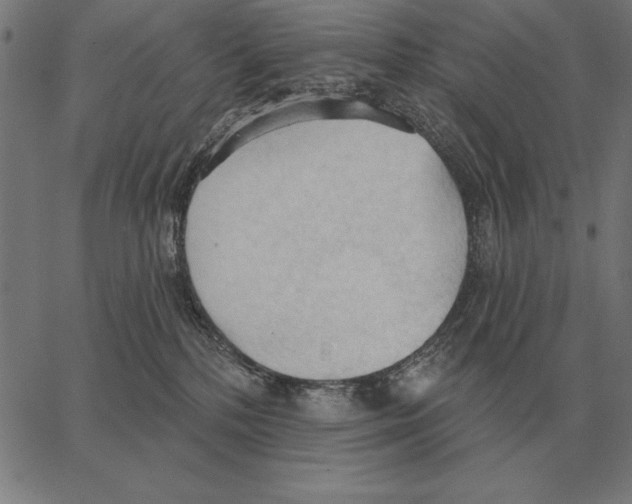 X0000062890232200602101749