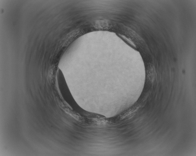 X0000062890233200602101749