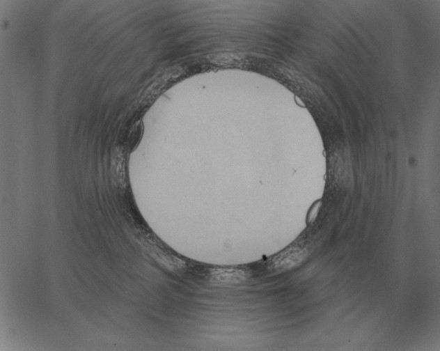 X0000062890234200602101749