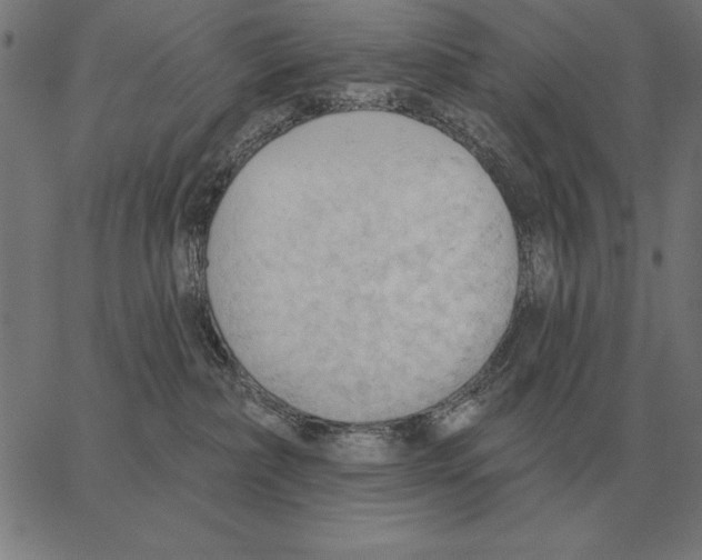 X0000062890236200602101749