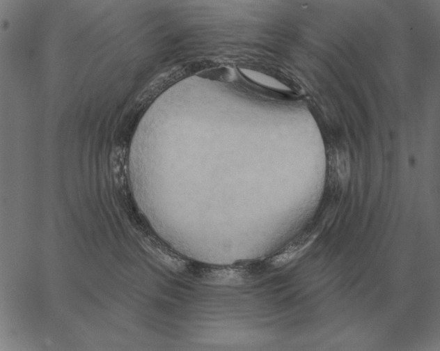 X0000062890237200602101749