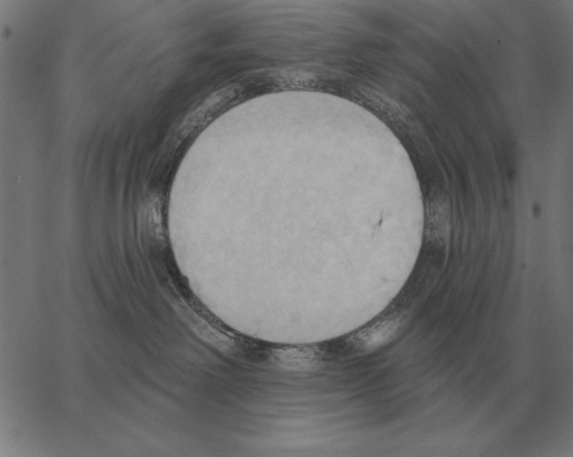 X0000062890238200602101749