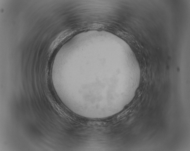 X0000062890242200602101748