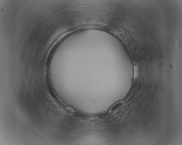 X0000062890243200602101748