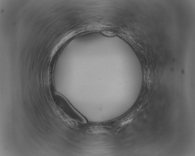 X0000062890244200602101748