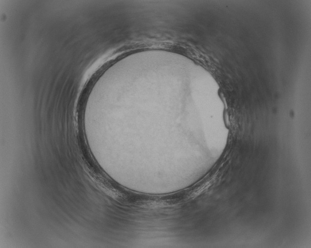 X0000062890246200602101748