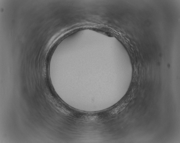 X0000062890247200602101748