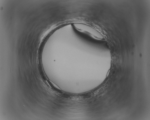 X0000062890248200602101748