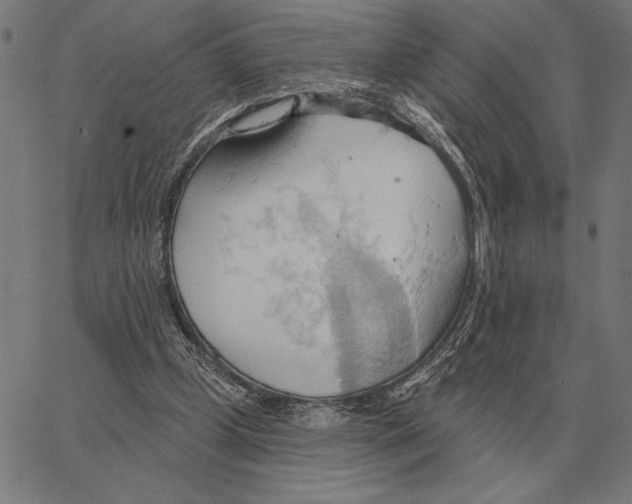 X0000062890249200602101748