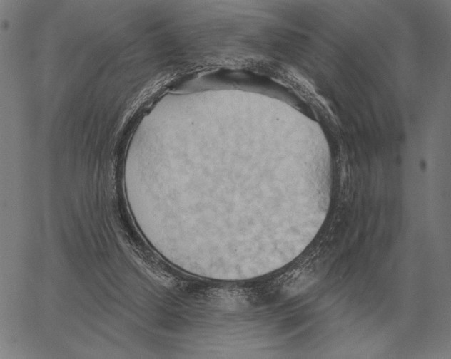 X0000062890250200602101748