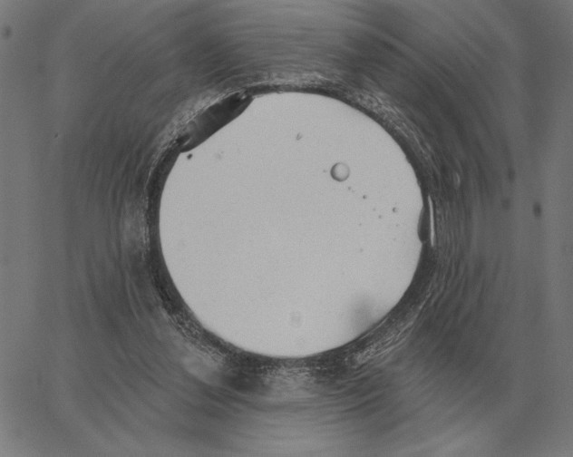 X0000062890252200602101748